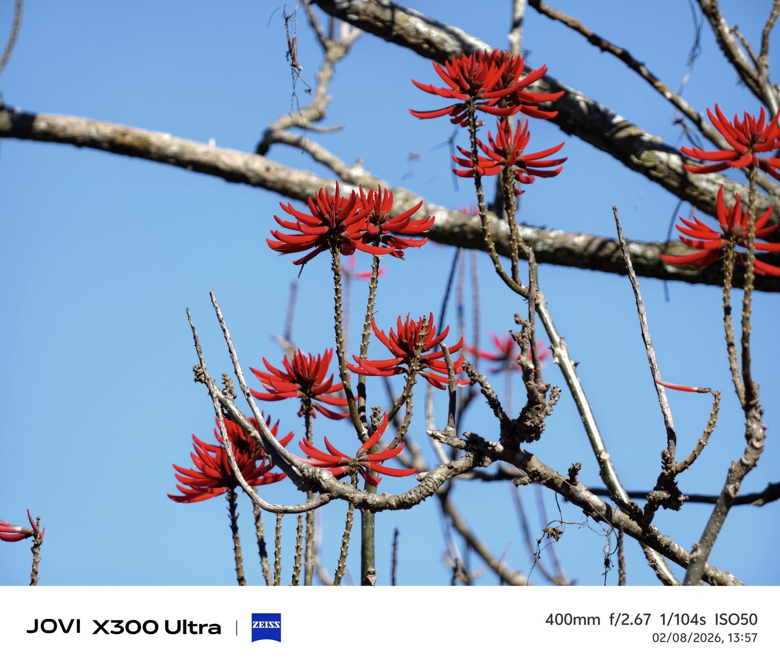 Os 5 melhores celulares topo de linha testados pelo TechTudo até agora