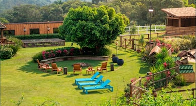 Márcia Fu dá spoiler sobre seu novo quadro em A Fazenda 18: ‘Vou controlar tudo’