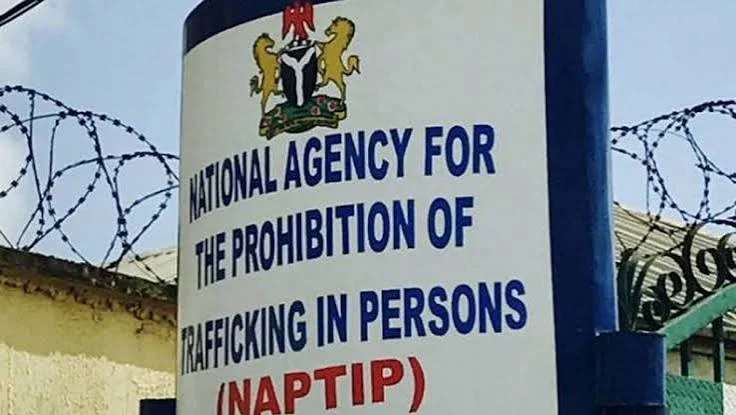 Imagem da matéria: Autoridades fiscais da África se unem contra fluxos financeiros ilícitos