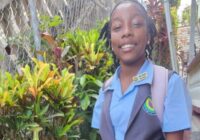 Três pessoas foram processadas após busca em Bexon revelar arma de fogo, munição e resina de cannabis