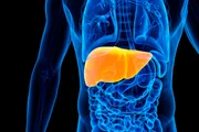 Hepatologista explica como ficar 30 dias sem álcool beneficia o fígado