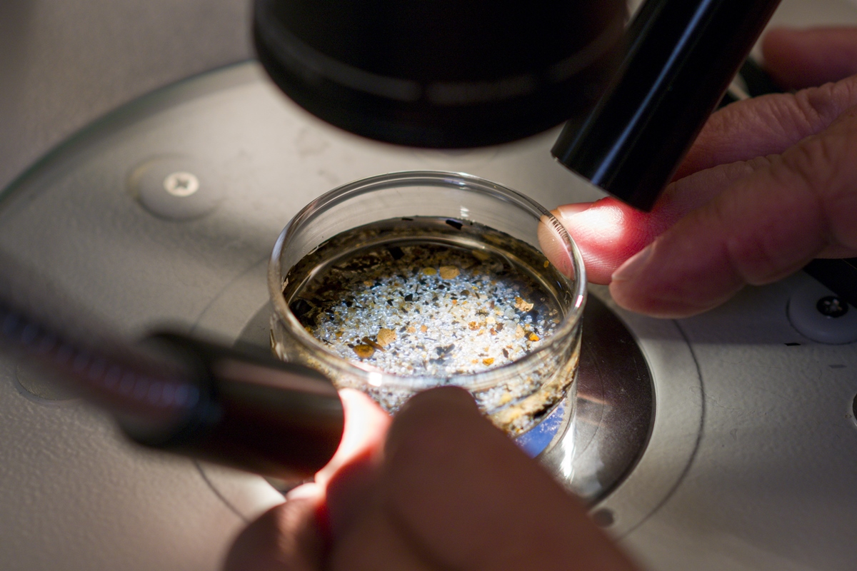 Microscópio estereoscópico para examinar uma amostra de sedimentos e identificar os microplásticos presentes