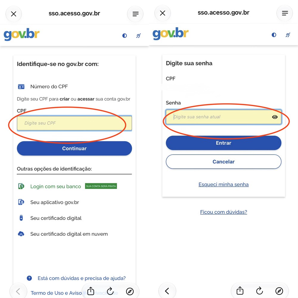 App Gov.br concentra documentos e serviços públicos digitais e também permite acessar recursos como assinatura e prova de vida — Foto: Reprodução/ Gov BR