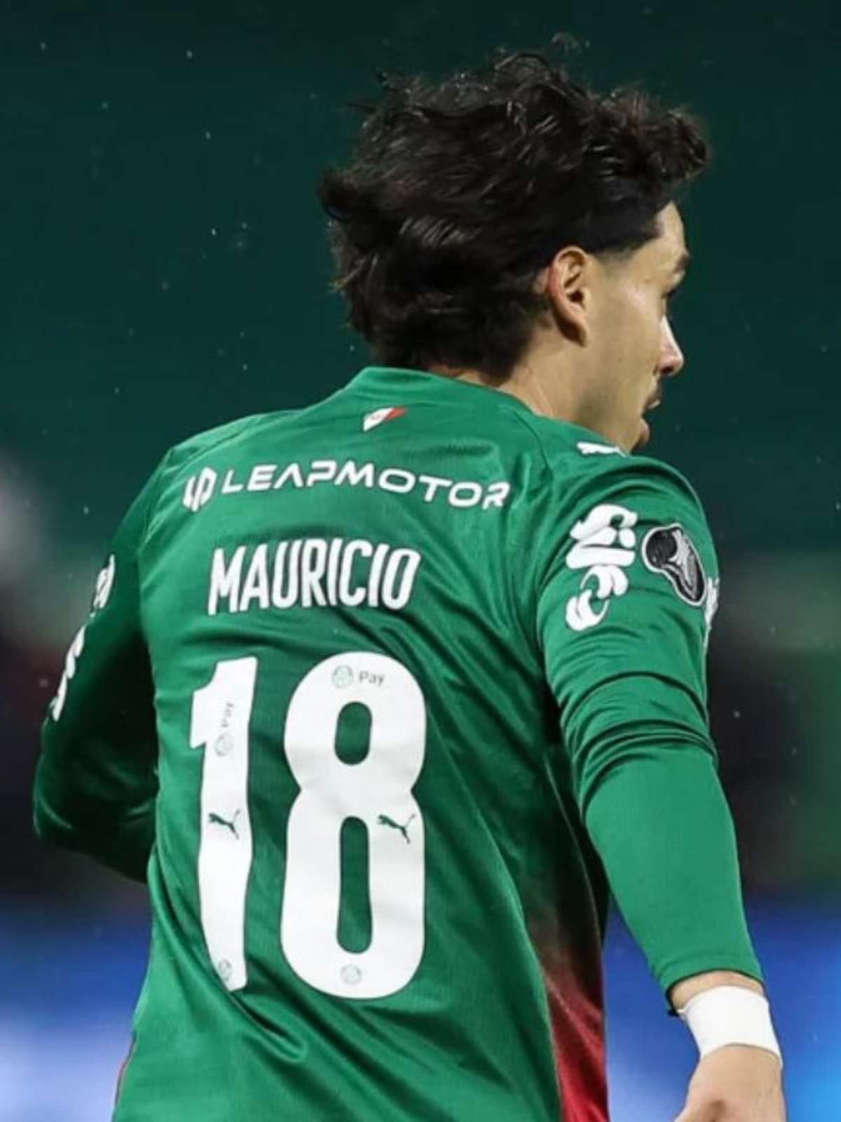 Mauricio cita 'efeito Copa do Mundo' na sua carreira e opina sobre o que há de melhor no elenco do Palmeiras