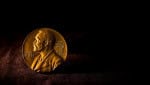 Prêmio Nobel da Medicina: como uma alga ajudou cientistas a criar um “interruptor” para o cérebro
