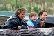 Rei Charles III tem planos de reunir William e Harry em tributo a Lady Di