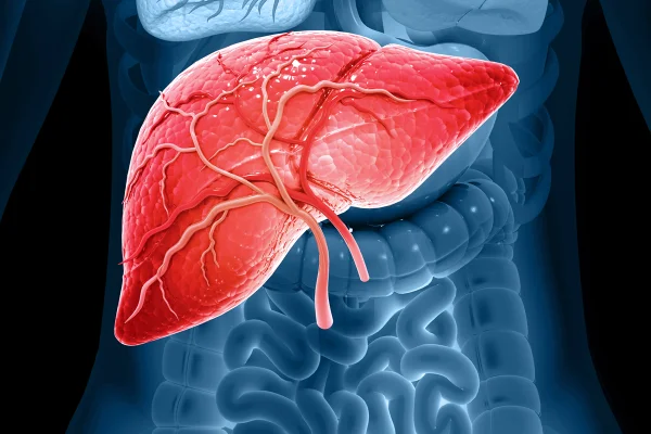 Hepatologista explica como ficar 30 dias sem álcool beneficia o fígado