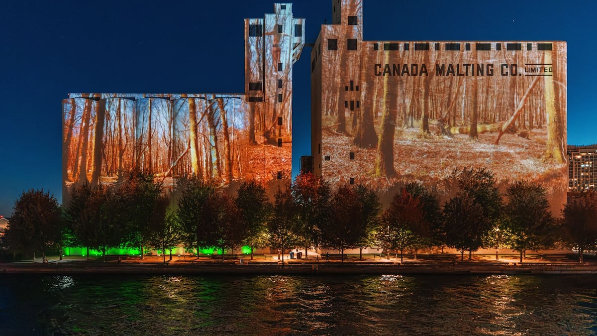 Toronto art installation shines light on growing Canada-EU ties
