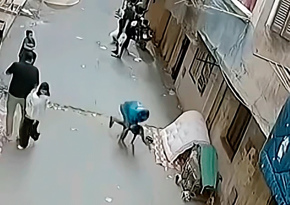 Assista: Uma pegada em fração de segundo salva criança caindo de varanda