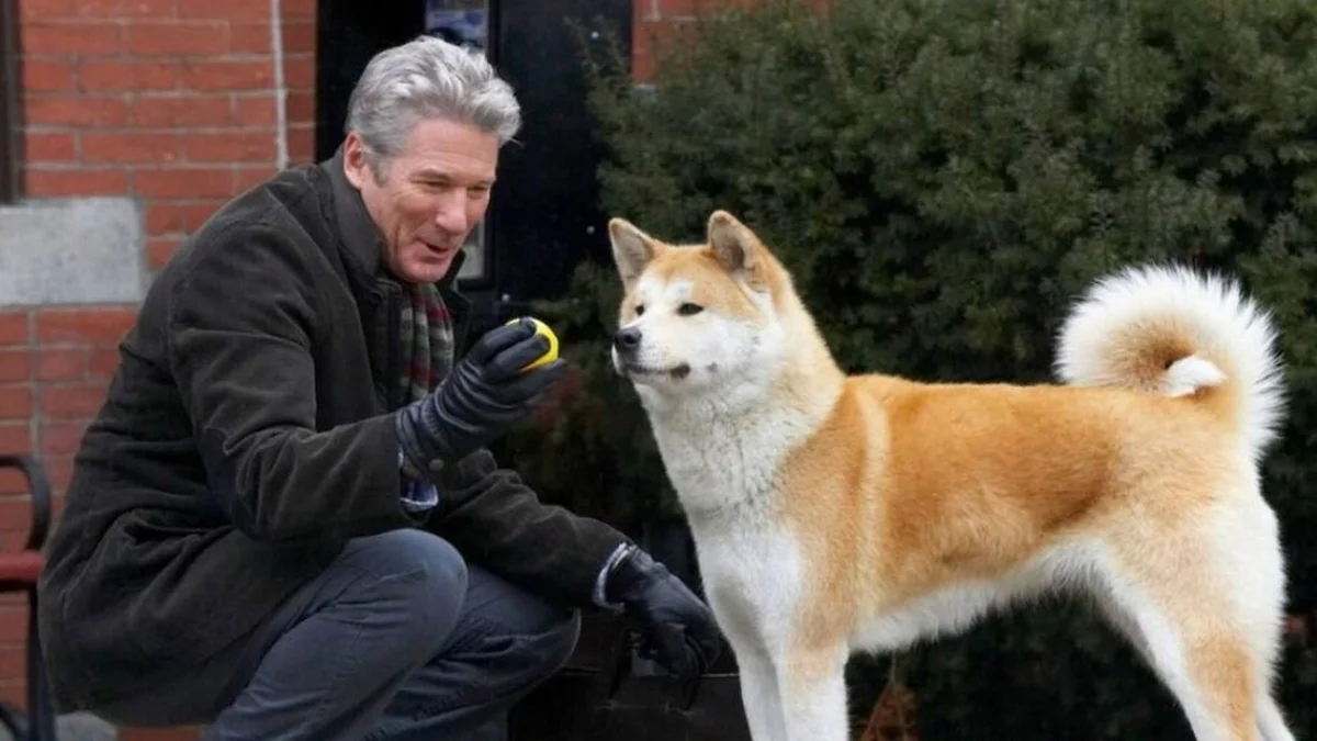 Sempre ao Seu Lado: conheça a história real que inspirou o filme