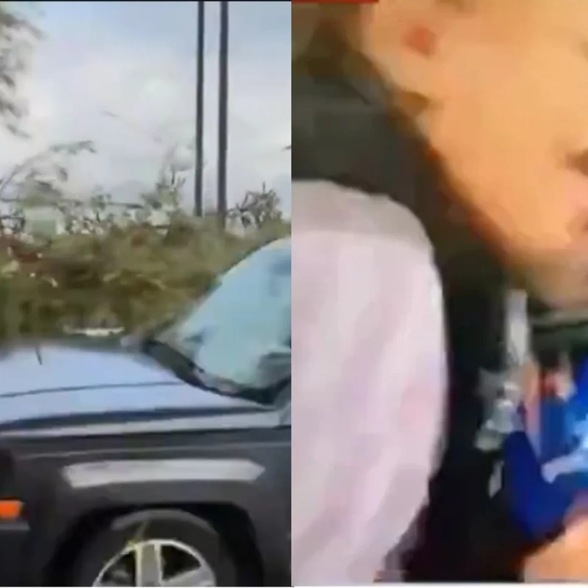 Repórter atropelada ao vivo atualiza estado de saúde: “Um milagre”